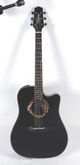 Takamine LTD 2007